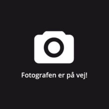 Plastikknap for Thule Euroclassic Bikeadapter 9281 Transportudstyr > Cykelholder